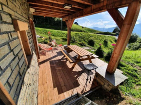 Chalet Le Valentin - Appartement de charme, proche piste et centre village MAE-3304